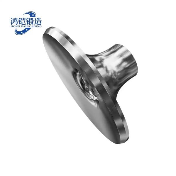Branch Connection Flanges
